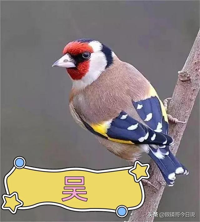 吳字取名男寶寶三個(gè)字？吳字取名男寶寶三個(gè)字的名字！