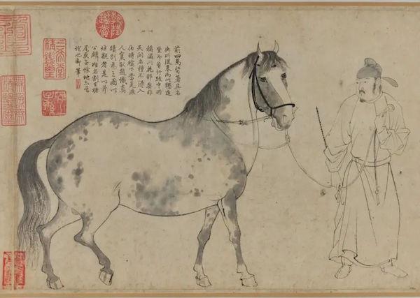 謝字五行屬什么屬性？謝字的五行屬性是什么！