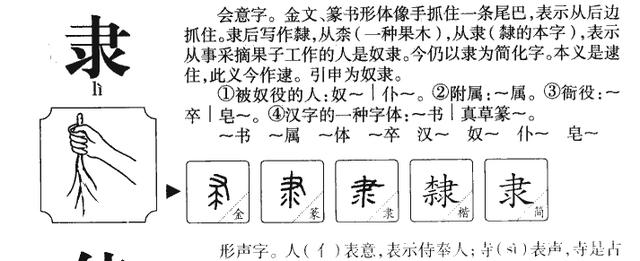 楠字五行屬什么屬性？南字五行屬什么！