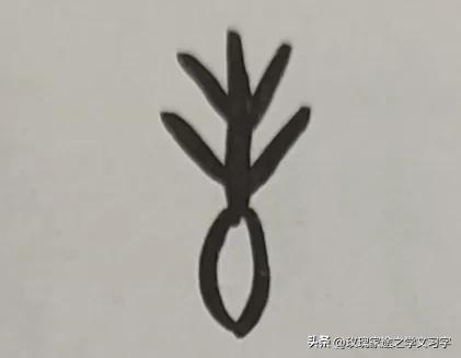 豐字筆順？豐字筆順筆畫！