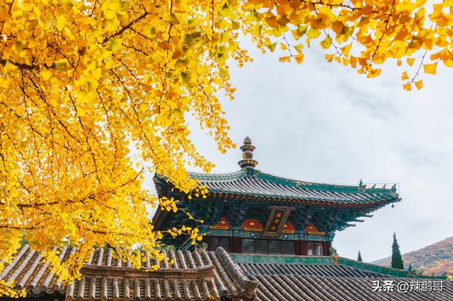 將開頭的成語？將開頭的成語接龍！
