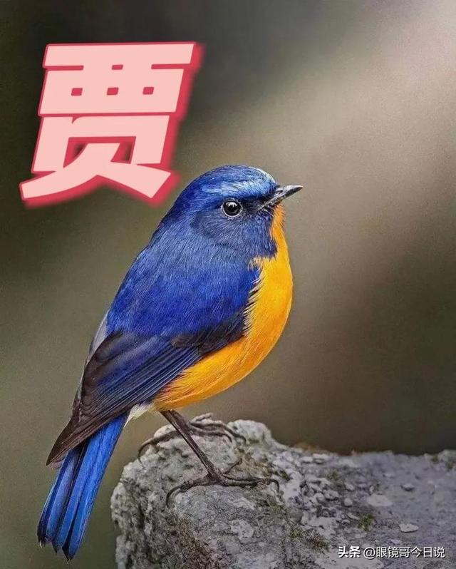 吳字取名男寶寶三個(gè)字？吳字取名男寶寶三個(gè)字的名字！