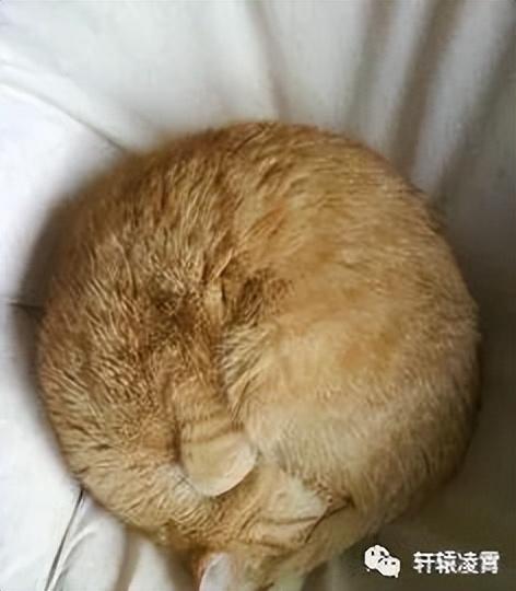 基五行屬于？礎(chǔ)的五行屬性！