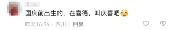 起名網(wǎng)免費(fèi)取名？在線取名！