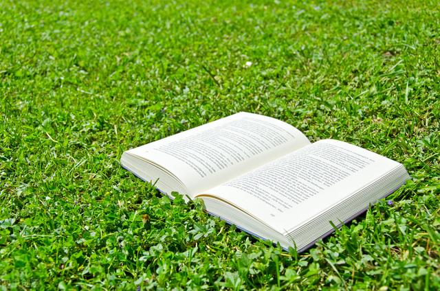 總開頭的四字成語接龍有哪些？總開頭的四字成語接龍是什么！