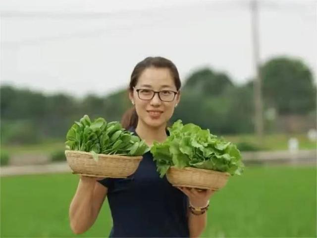 儷人創(chuàng)客__開心農(nóng)場(chǎng)渠雯新農(nóng)人”菜姐姐“的生態(tài)農(nóng)業(yè)