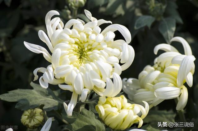 墨字五行屬什么？墨字五行屬什么,名字里寓意！