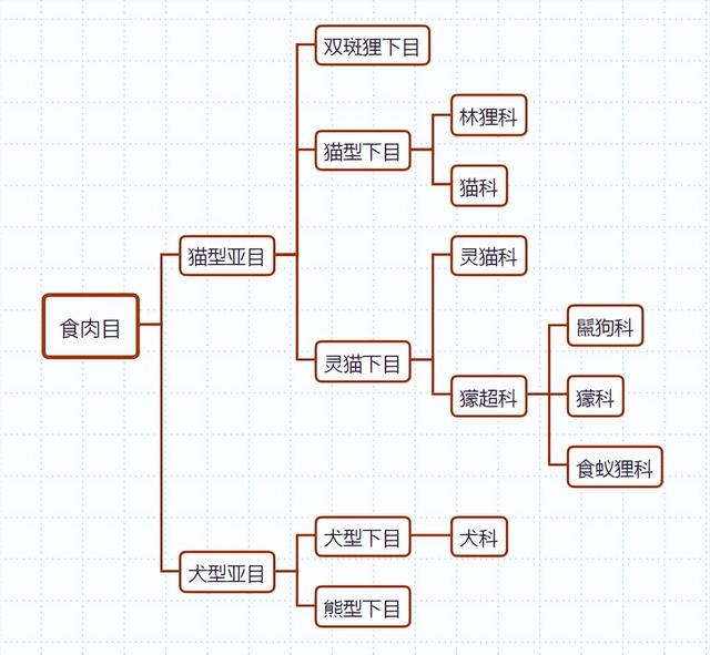 皙字屬于五行屬什么？皙字的五行屬性是什么！