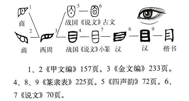 皙字屬于五行屬什么？皙字的五行屬性是什么！