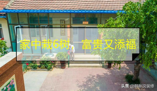 桂的五行屬性是屬什么？桂的五行屬性是什么！