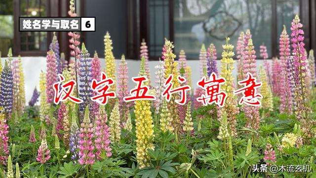 五行取名字的原則是什么？五行取名字的原則是什么意思！