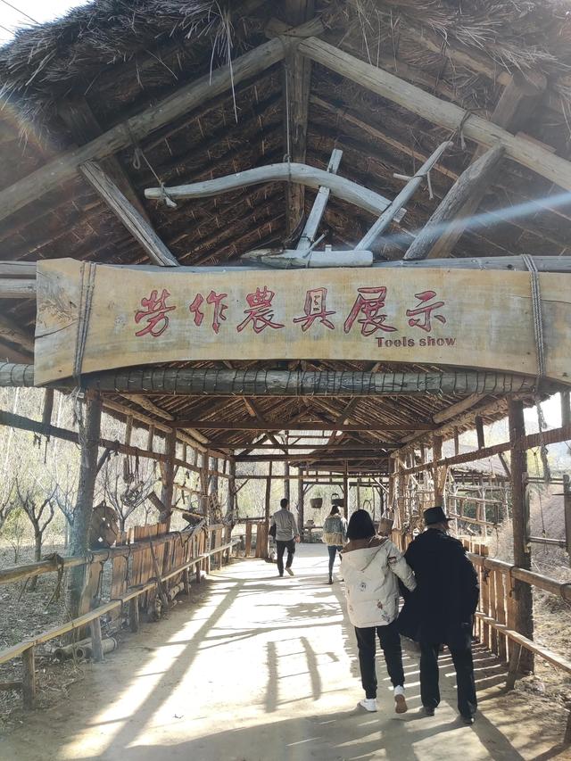 魯字屬于五行屬什么？魯是什么五行！