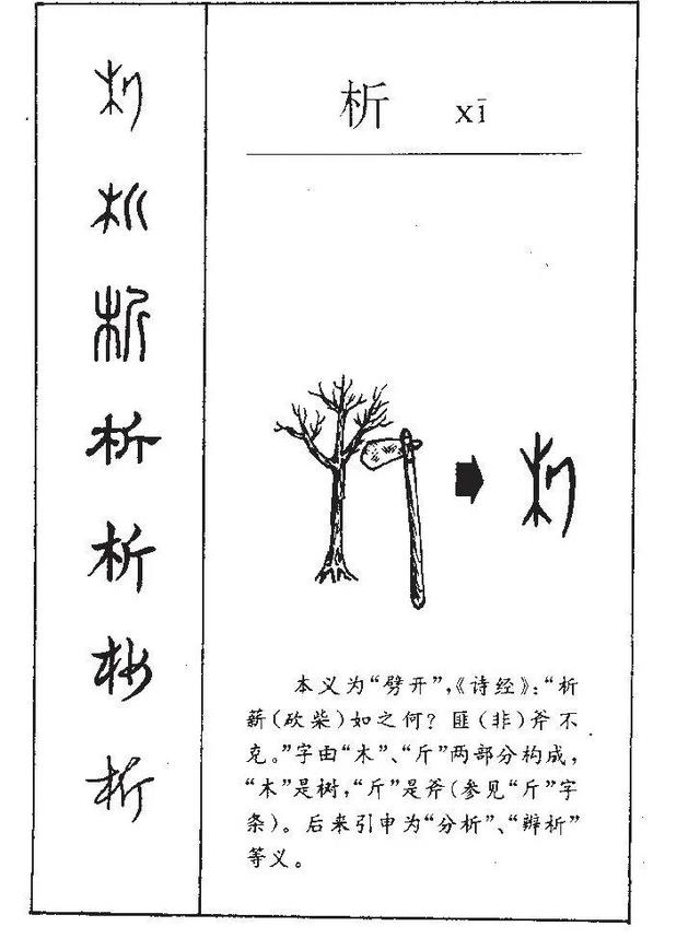 皙五行屬啥？楠字五行屬什么！