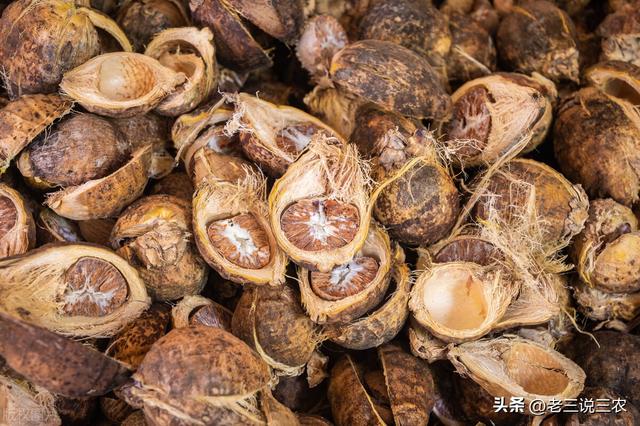 養(yǎng)殖場起名字大全免費？養(yǎng)殖場起名字大全免費4字！