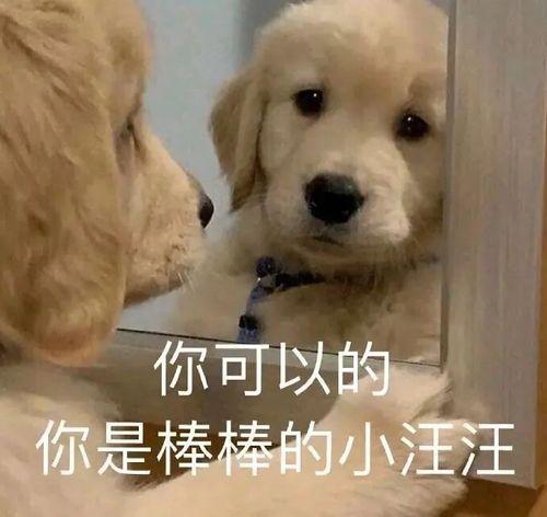 如何起名字_新生兒？新生兒的起名！