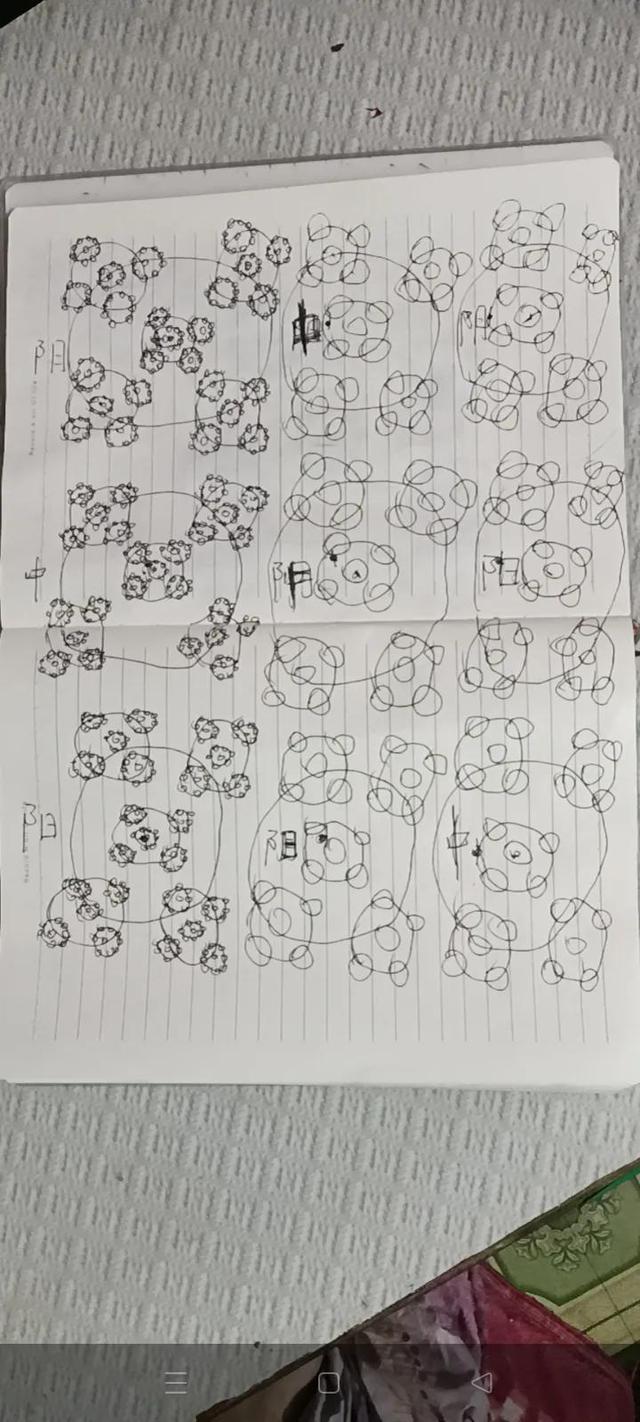 五行八卦起名字怎么起？五行八卦起名字好嗎！