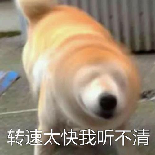 如何起名字_新生兒？新生兒的起名！