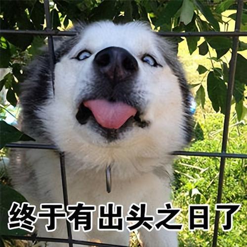如何起名字_新生兒？新生兒的起名！