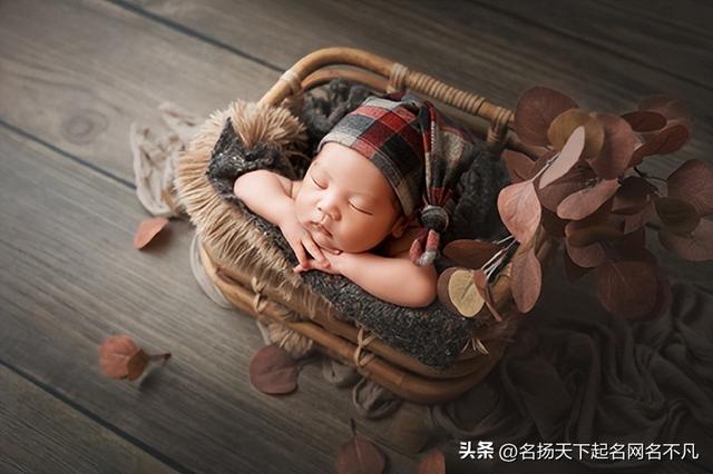 如何起名字_新生兒免費(fèi)？如何起名字_新生兒屬虎的男孩！