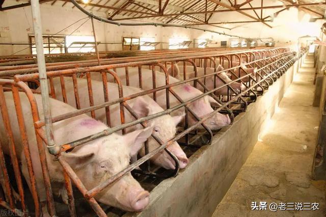 養(yǎng)殖場起名字大全免費？養(yǎng)殖場起名字大全免費4字！
