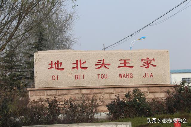 王姓起名通典書籍大全？王姓起名通典在線閱讀！