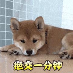 如何起名字_新生兒？新生兒的起名！