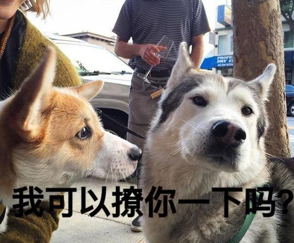 如何起名字_新生兒？新生兒的起名！