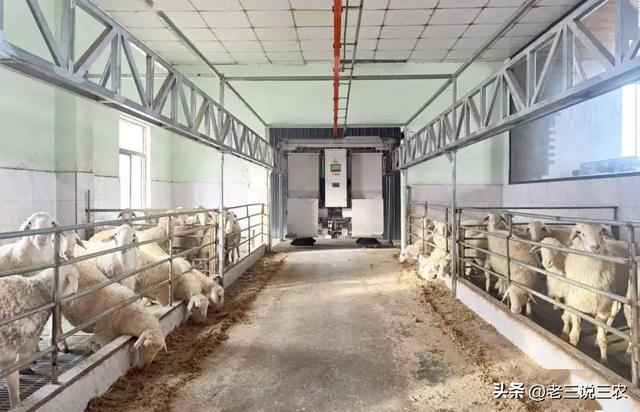 養(yǎng)殖場起名字大全免費？養(yǎng)殖場起名字大全免費4字！