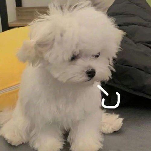 如何起名字_新生兒？新生兒的起名！
