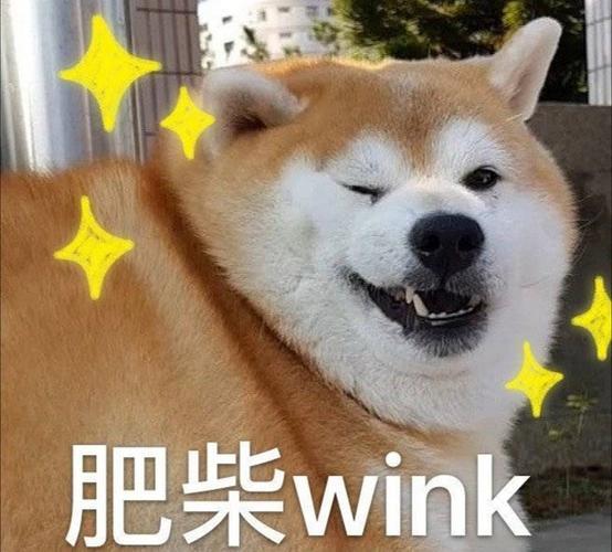 如何起名字_新生兒？新生兒的起名！
