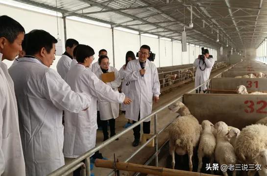 養(yǎng)殖場起名字大全免費？養(yǎng)殖場起名字大全免費4字！