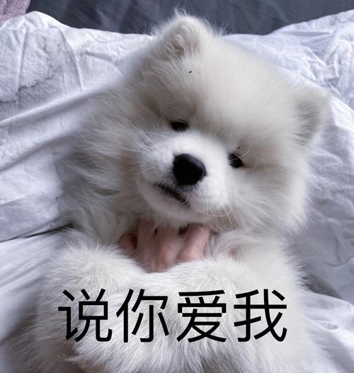 如何起名字_新生兒？新生兒的起名！