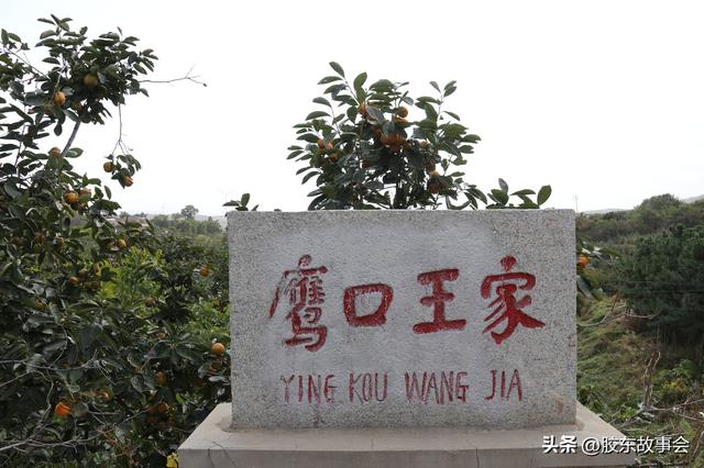王姓起名通典書籍大全？王姓起名通典在線閱讀！