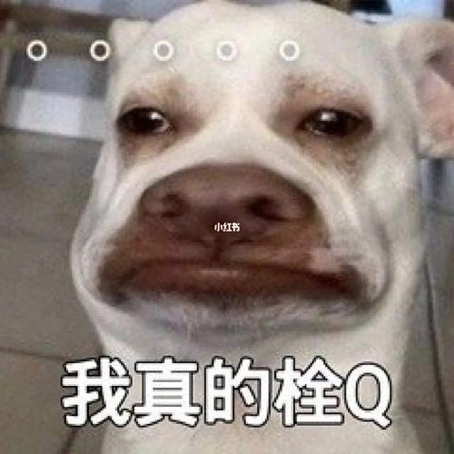 如何起名字_新生兒？新生兒的起名！
