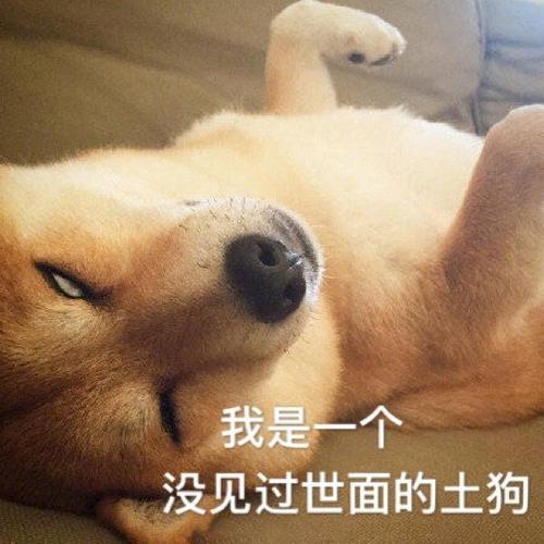 如何起名字_新生兒？新生兒的起名！