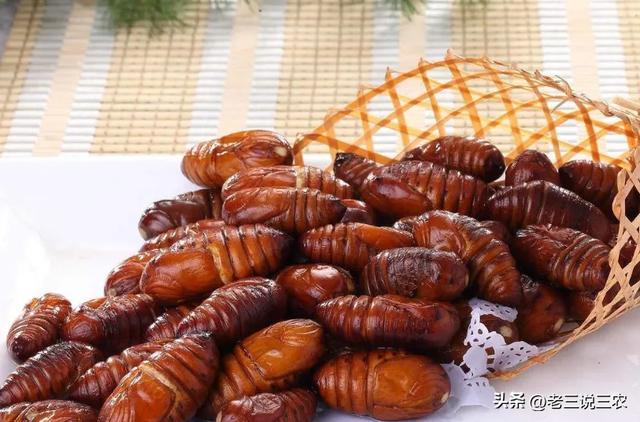 養(yǎng)殖場起名字大全免費？養(yǎng)殖場起名字大全免費4字！