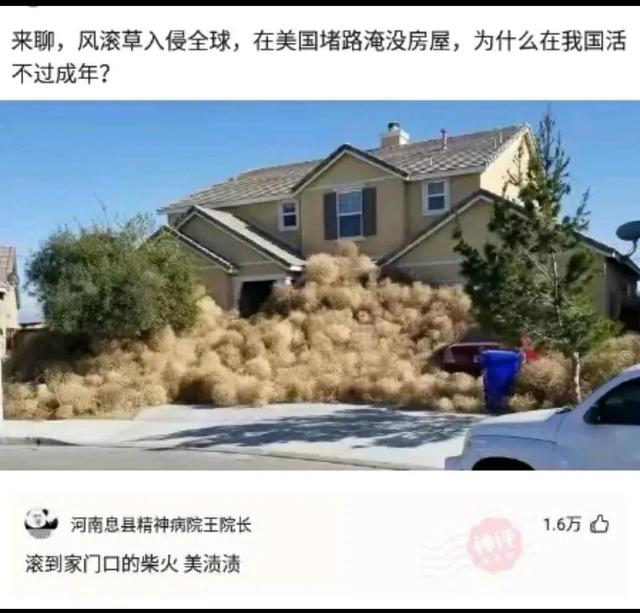 開(kāi)超市起什么名字好？開(kāi)個(gè)超市起個(gè)什么名字好呢女！