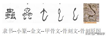 禹字五行屬什么？禹字五行屬什么的！