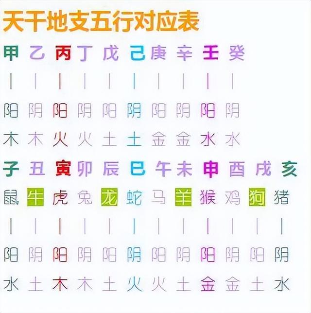癸五行屬什么？癸巳五行屬性是什么！