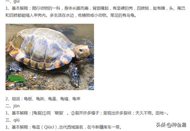 玨字五行屬什么？玨字的含義五行屬什么！