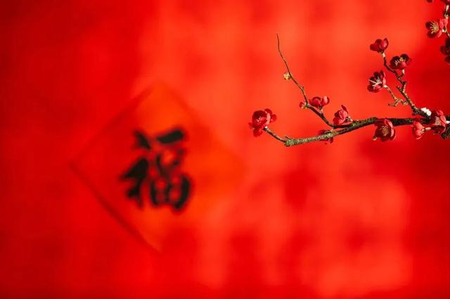 添的意思？添添是什么意思意！