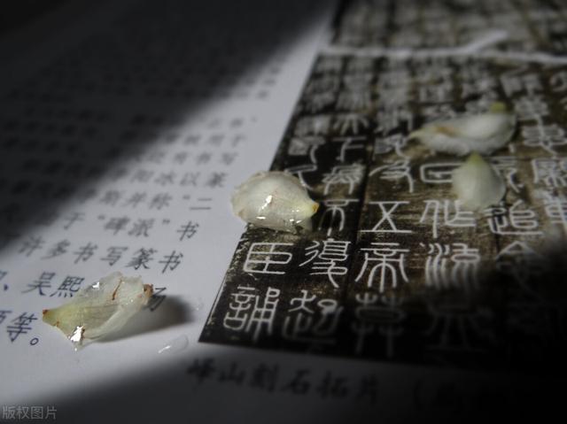 女生qq名字_好聽_可愛_霸氣？女生簡短好聽昵稱兩個(gè)字！