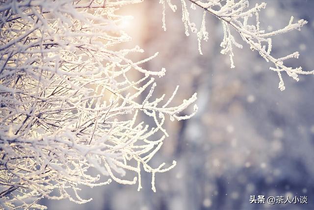 添的意思？添的意思是什么意思！