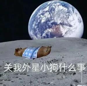 掙的意思？掙扎的意思！