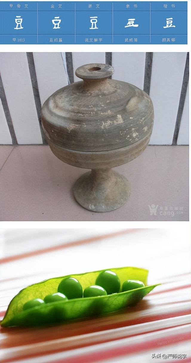 翎字五行屬什么？翎字取名寓意及含義！