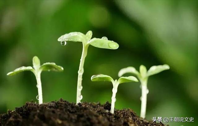 癸五行屬什么？癸字的五行屬性是什么！