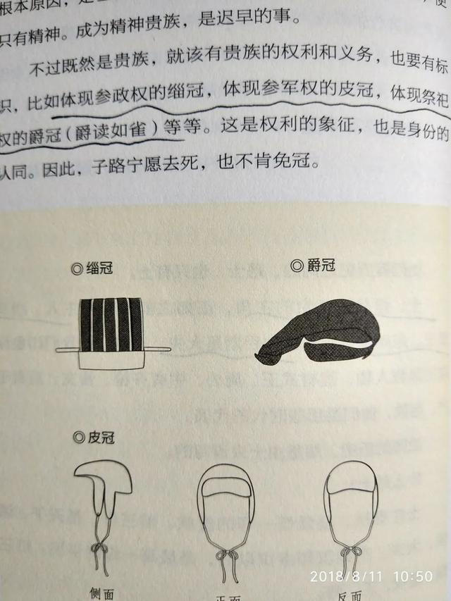 稚的意思？稚的意思解釋！