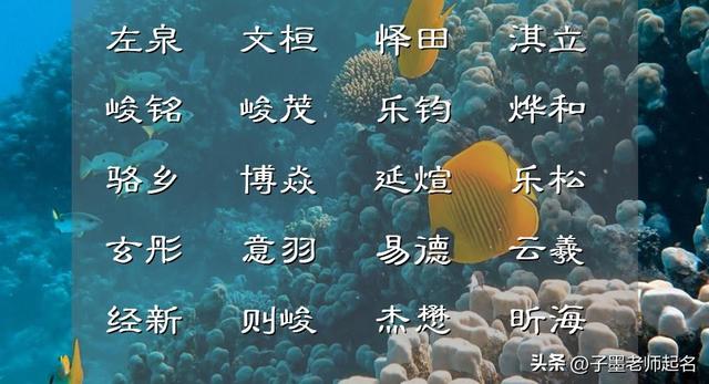 禹字五行屬什么？禹字取名的寓意！