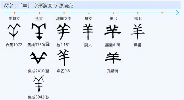 權(quán)字五行屬什么？權(quán)字五行屬什么和意義！