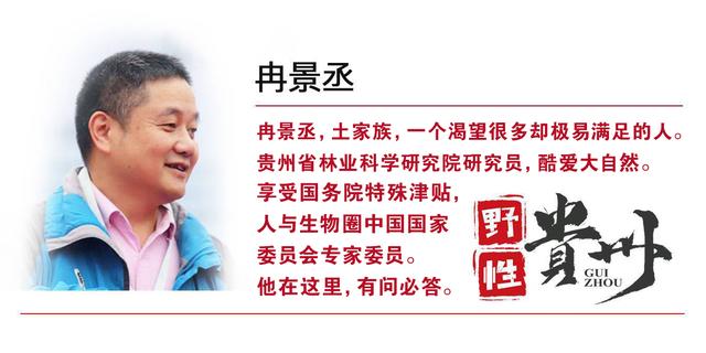 骕？骕怎么讀什么意思！